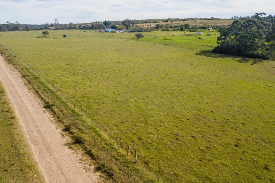 0 Bedroom Property for Sale in Alexandria Eastern Cape